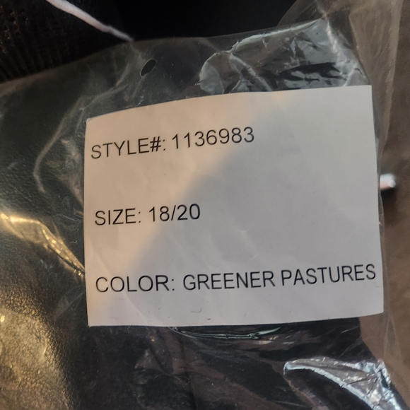 🆕️ NWT Green Faux-Leather Moto Jacket Lane Bryant Size 18/20 - Picture 8 of 11